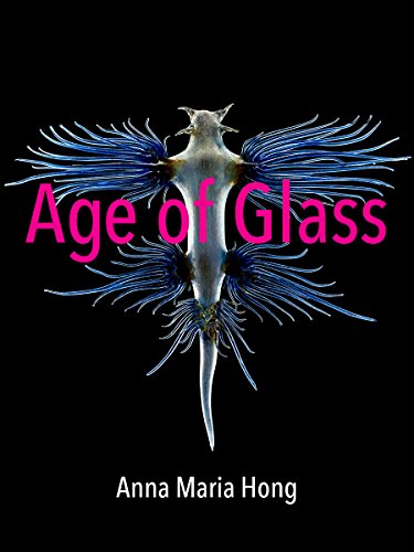 Beispielbild fr Age of Glass zum Verkauf von Better World Books