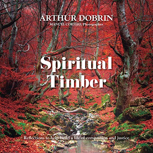 Stock image for Spiritual Timber for sale by Decluttr