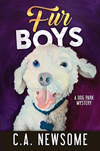 Stock image for Fur Boys: A Dog Park Mystery (Lia Anderson Dog Park Mysteries) for sale by Half Price Books Inc.