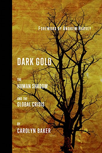 Stock image for DARK GOLD, THE HUMAN SHADOW & GLOBAL CRISIS for sale by WONDERFUL BOOKS BY MAIL