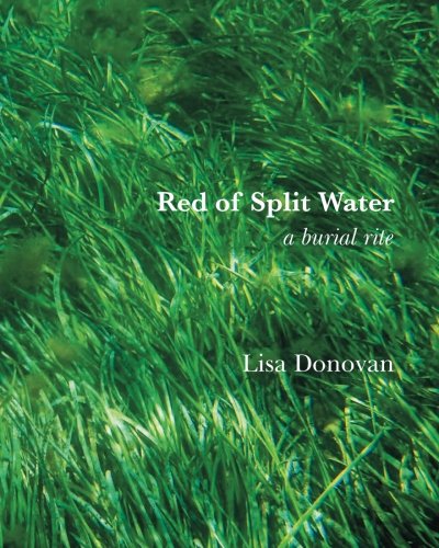 Imagen de archivo de Red of Split Water a burial rite a la venta por -OnTimeBooks-