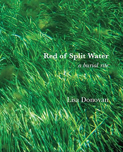 Stock image for Red of Split Water a burial rite for sale by -OnTimeBooks-