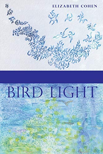 Beispielbild fr Bird Light zum Verkauf von Nelsons Books