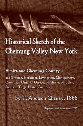 Stock image for Historical Sketch of the Chemung Valley; New York: Elmira and Chemung County; and Broome; Herkimer; Livingston; Montgomery; Onondaga; Ontario; Otsego; Schoharie; Schuyler; Steuben; Tioga; Ulster Coun for sale by Ria Christie Collections