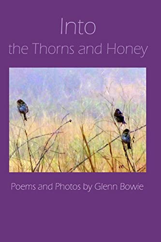 9780996540544: Into the Thorns and Honey