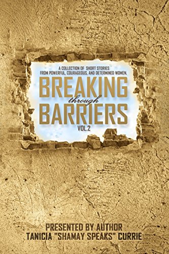 Imagen de archivo de Breaking Through Barriers Volume 2: A collection of stories from Bold, Courageous, and Determined Women a la venta por Lucky's Textbooks