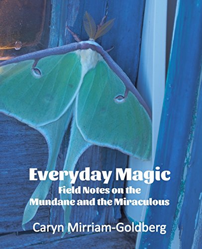 Stock image for Everyday Magic: Field Notes on the Mundane and the Miraculous for sale by HPB-Ruby