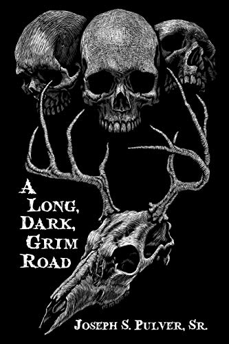 Stock image for A Long, Dark, Grim Road for sale by Books Unplugged