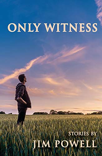 Beispielbild fr Only Witness zum Verkauf von Wonder Book