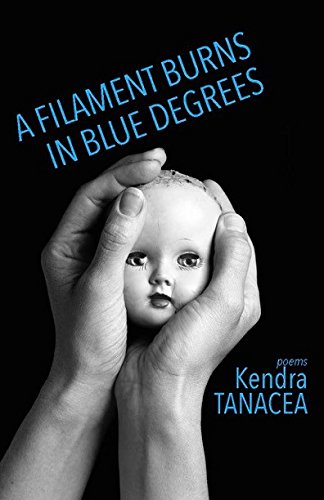 Beispielbild fr A Filament Burns in Blue Degrees : Poems zum Verkauf von Better World Books