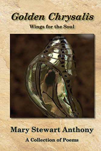 Imagen de archivo de Golden Chrysalis: Wings for the Soul a la venta por Lucky's Textbooks