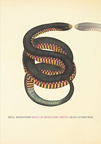 Beispielbild fr Ideal Suggestions: Essays in Divinatory Poetics zum Verkauf von medimops