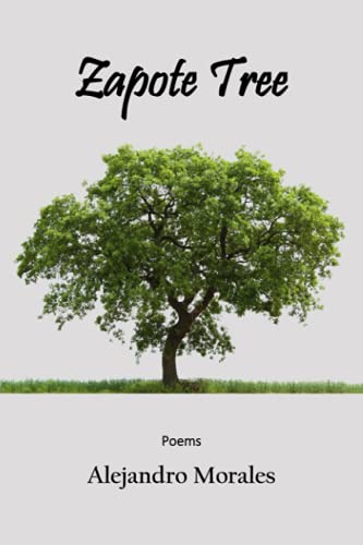 Stock image for Zapote Tree for sale by GreatBookPrices
