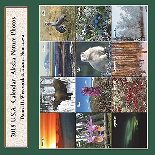 Stock image for 2018 USA Calendar - Alaska Nature Photos for sale by PlumCircle