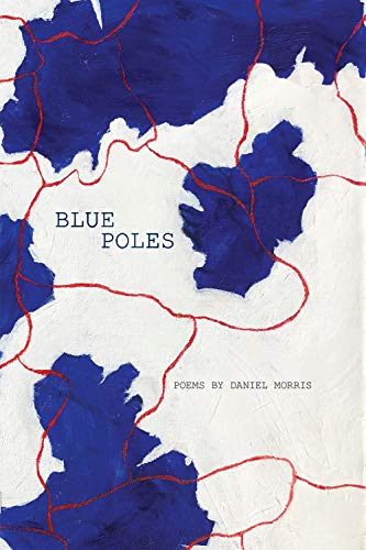 Beispielbild fr Blue Poles zum Verkauf von Wonder Book