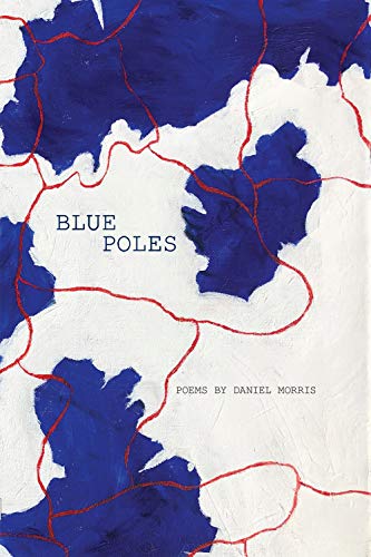 9780996991186: Blue Poles