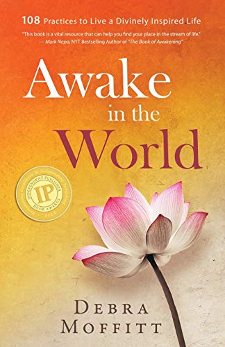 Beispielbild fr Awake in the World: 108 Practices to Live a Divinely Inspired Life zum Verkauf von Lucky's Textbooks