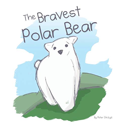 9780997033489: The Bravest Polar Bear