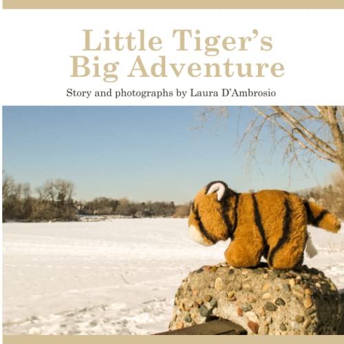 Stock image for Little Tiger's Big Adventure for sale by Lucky's Textbooks