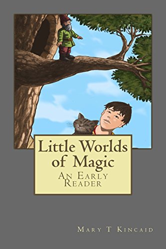 Stock image for Little Worlds of Magic for sale by ThriftBooks-Atlanta