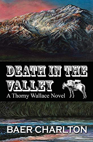 9780997179538: Death in the Valley: 1 (Thorny Wallace Novel)