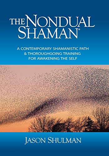 9780997220131: The Nondual Shaman: A Contemporary Shamanistic Path & Thoroughgoing Training for Awakening the Self