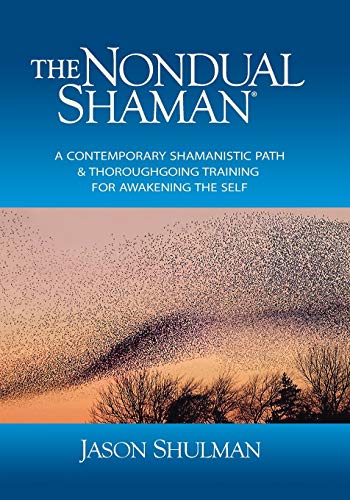 Stock image for The Nondual Shaman: A Contemporary Shamanistic Path & Thoroughgoing Training for Awakening the Self (Practical Guides to Enlightenment, Awakening, and Healing) for sale by HPB-Ruby