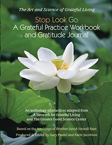 Beispielbild fr Stop Look Go: A Grateful Practice Workbook and Gratitude JournalA Grateful Practice zum Verkauf von BooksRun