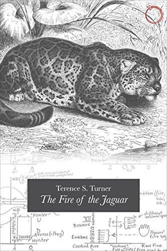 Stock image for The Fire of the Jaguar for sale by Chiron Media