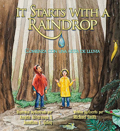 Stock image for It Starts with a Raindrop/Comienza con una gota lluvia (English and Spanish Edition) for sale by -OnTimeBooks-