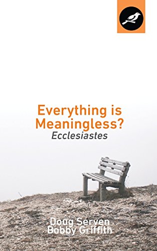 Stock image for Everything Is Meaningless?: Ecclesiastes for sale by SecondSale