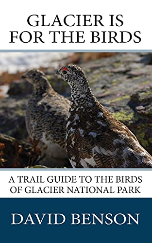 Stock image for Glacier is for the Birds: A Trail Guide to the Birds of Glacier National Park for sale by St Vincent de Paul of Lane County