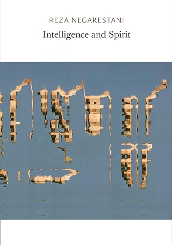 Beispielbild fr Intelligence and Spirit zum Verkauf von Revaluation Books