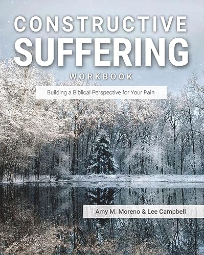Beispielbild fr Constructive Suffering: Building a Biblical Perspective for Your Pain zum Verkauf von HPB Inc.