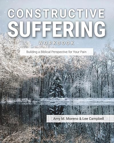 Imagen de archivo de Constructive Suffering: Building a Biblical Perspective for Your Pain a la venta por ThriftBooks-Atlanta