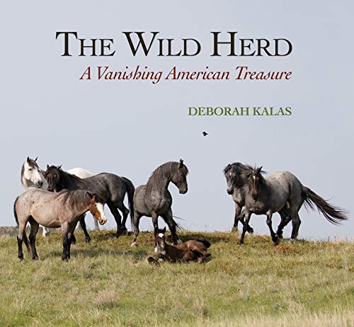 Beispielbild fr The Wild Herd : A Vanishing American Treasure zum Verkauf von Better World Books