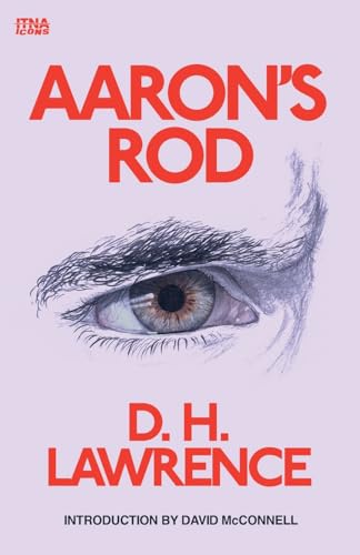 Imagen de archivo de Aaron's Rod a la venta por Roundabout Books