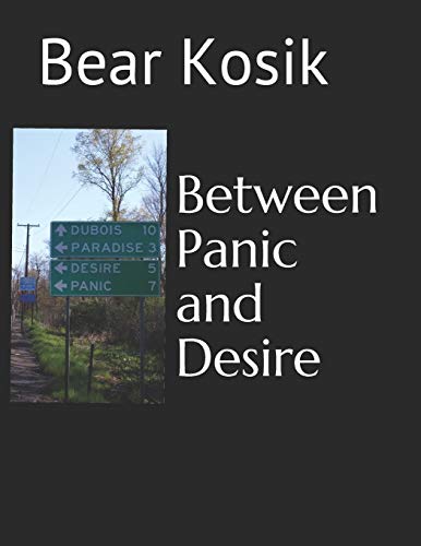 Stock image for Between Panic and Desire for sale by Lucky's Textbooks