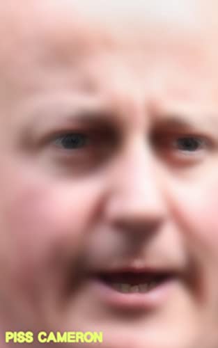 9780997689792: Piss Cameron