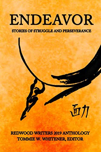 Beispielbild fr Endeavor: Stories of Struggle and Perseverance zum Verkauf von Big River Books