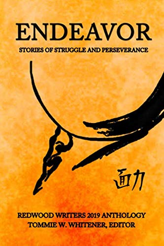 Imagen de archivo de Endeavor: Stories of Struggle and Perseverance a la venta por Big River Books