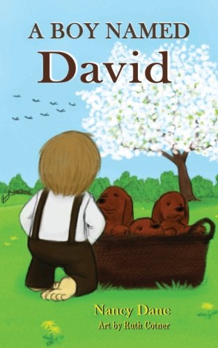 Beispielbild fr A Boy Named David: Volume 3 (Civil War Orphan Series) zum Verkauf von Revaluation Books