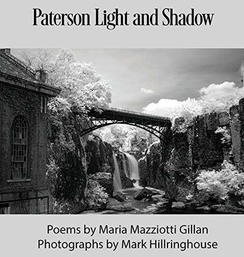 Stock image for Paterson Light and Shadow for sale by Buyback Express