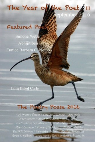 Stock image for The Year of the Poet III ~ September 2016 (Volume 33) for sale by Project HOME Books