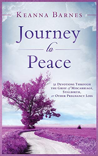 Beispielbild fr Journey to Peace: 31 Devotions Through the Grief of Miscarriage, Stillbirth, or Other Pregnancy Loss zum Verkauf von Goodwill of Colorado