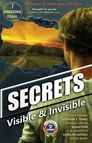 Stock image for Secrets: Visible Invisible (Catholic Teen Books Visible Invisible Anthology Series) for sale by Blue Vase Books