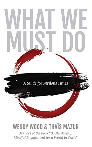 Imagen de archivo de What We Must Do: A Guide for Perilous Times a la venta por Revaluation Books