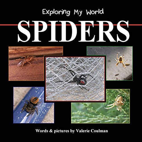 Beispielbild fr Exploring My World: Spiders zum Verkauf von Wonder Book