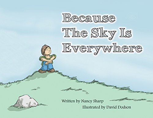 Stock image for Because the Sky is Everywhere for sale by SecondSale