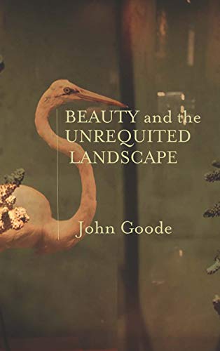 9780998187259: Beauty and the Unrequited Landscape